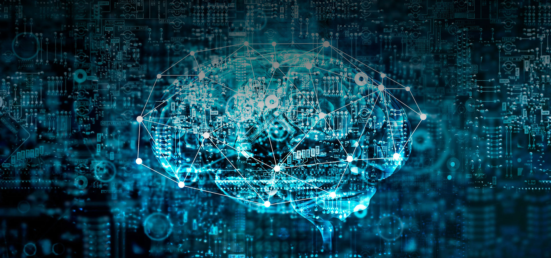 IT Plan - Il Tuo IT Partner